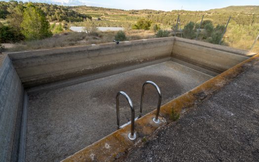 Un projecte agrícola (72)