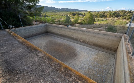 Un projecte agrícola (72)