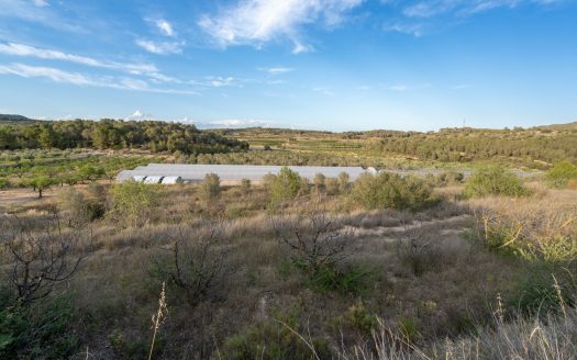 Un projecte agrícola (72)