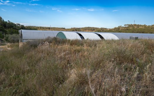 Un projecte agrícola (72)