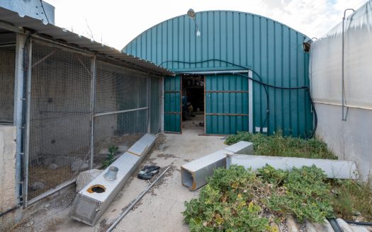 Un projecte agrícola (72)