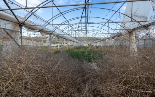 Un projecte agrícola (72)
