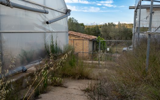 Un projecte agrícola (72)