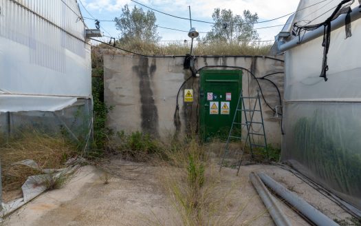 Un projecte agrícola (72)