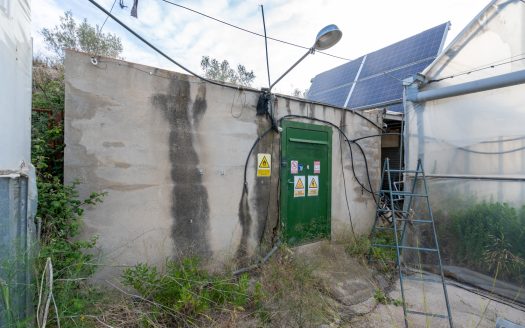 Un projecte agrícola (72)
