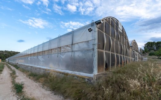 Un projecte agrícola (72)