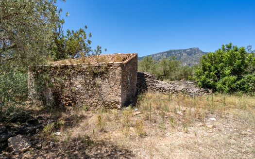 Finca de secà prop de la muntanya (86)