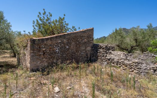 Finca de secà prop de la muntanya (86)