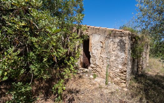 Finca de secà prop de la muntanya (86)