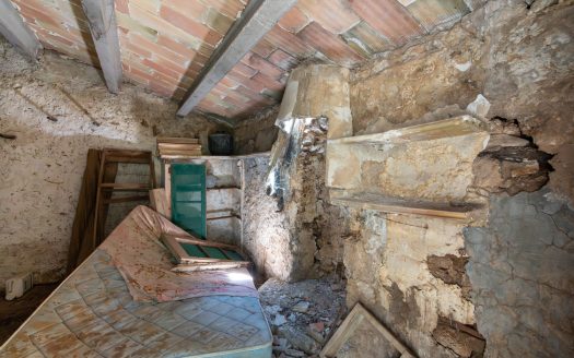 Finca de secà prop de la muntanya (86)