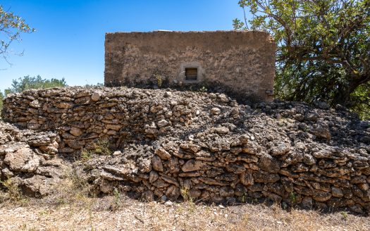 Finca de secà prop de la muntanya (86)