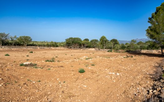 Plot of land with potable water (88)