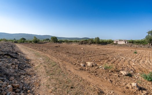 Plot of land with potable water (88)