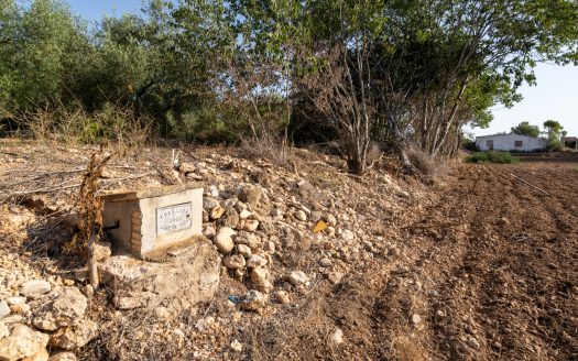 Plot of land with potable water (88)