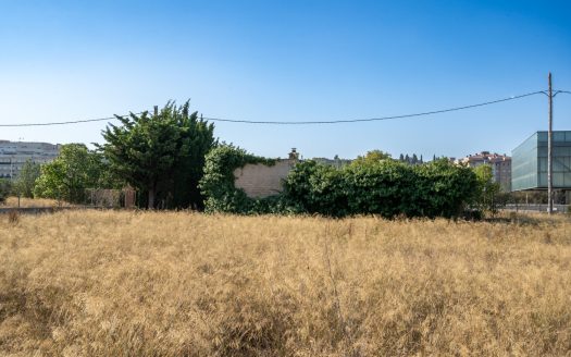 Close to Tortosa (90)