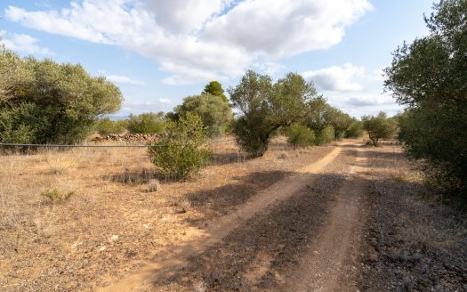 Small piece of land with irrigation water (100)