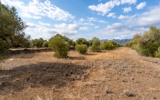 Small piece of land with irrigation water (100)