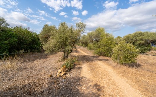 Small piece of land with irrigation water (100)
