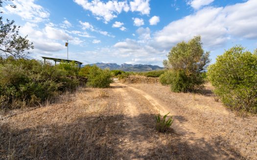 Small piece of land with irrigation water (100)