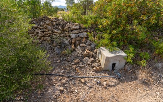 Small piece of land with irrigation water (100)