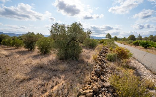 Small piece of land with irrigation water (100)