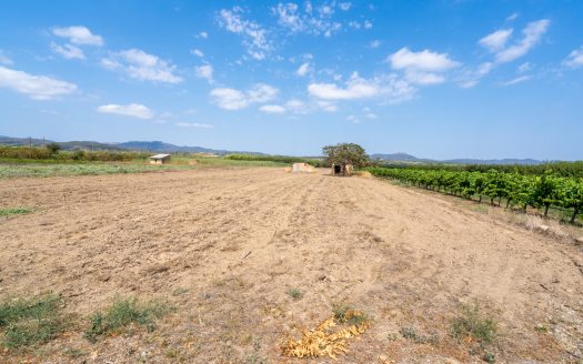 Irrigated land with a small building to restore (107)