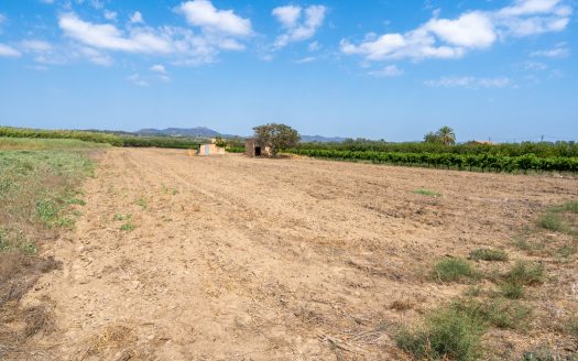 Irrigated land with a small building to restore (107)
