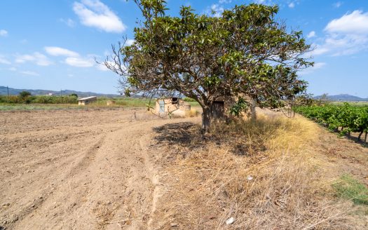 Irrigated land with a small building to restore (107)