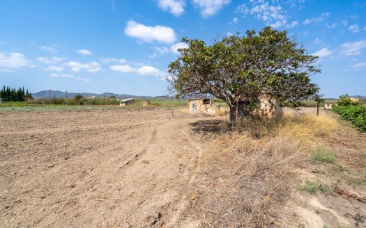 Irrigated land with a small building to restore (107)