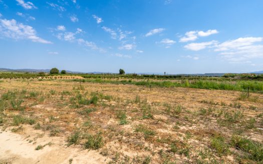 Ideal vegetable patch near the village (110)