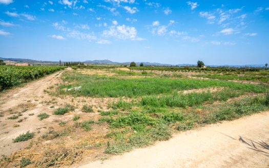 Ideal vegetable patch near the village (110)