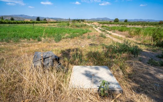 Ideal vegetable patch near the village (110)