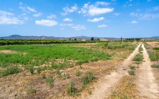 Ideal vegetable patch near the village (110)