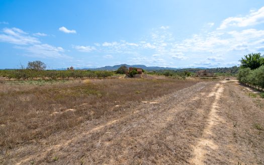 Flat plot with irrigation water (109)