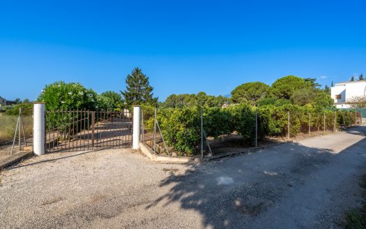 Orchard with a country house near Roquetes (98)