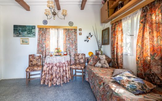Orchard with a country house near Roquetes (98)