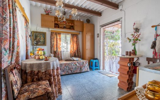 Orchard with a country house near Roquetes (98)