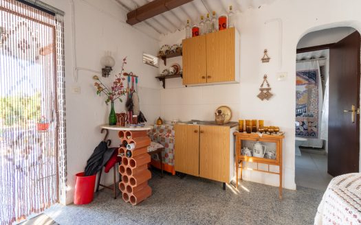 Orchard with a country house near Roquetes (98)