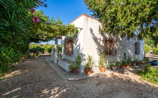 Orchard with a country house near Roquetes (98)
