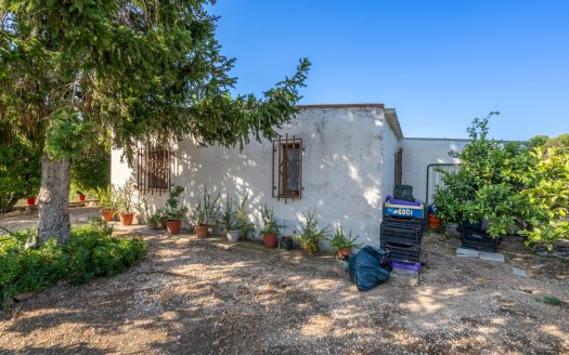 Orchard with a country house near Roquetes (98)