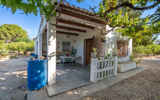 Orchard with a country house near Roquetes (98)