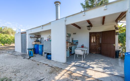 Orchard with a country house near Roquetes (98)
