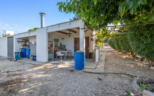 Orchard with a country house near Roquetes (98)