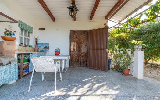 Orchard with a country house near Roquetes (98)