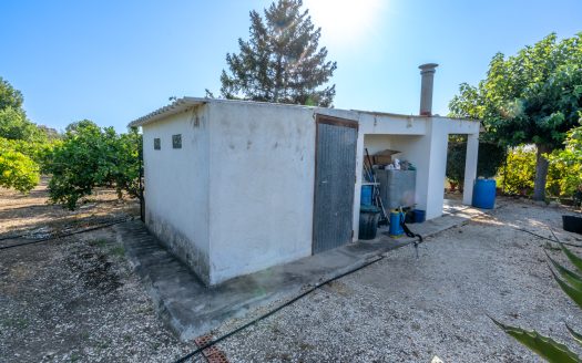 Orchard with a country house near Roquetes (98)