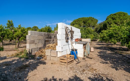 Orchard with a country house near Roquetes (98)