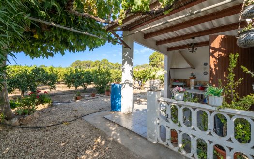Orchard with a country house near Roquetes (98)