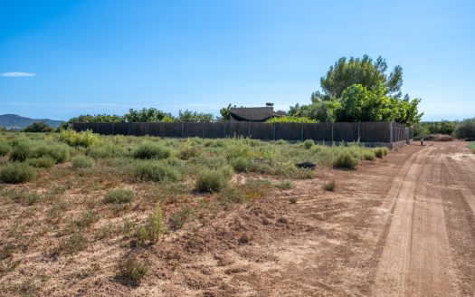 Finca d’oliveres amb aigua de reg (113)