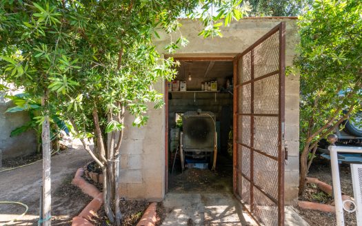 Finca d’oliveres amb aigua de reg (113)