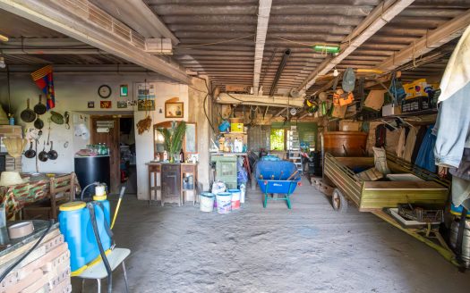 Finca d’oliveres amb aigua de reg (113)